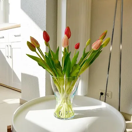 Am Sahlenburger As06 * كوكسهافن